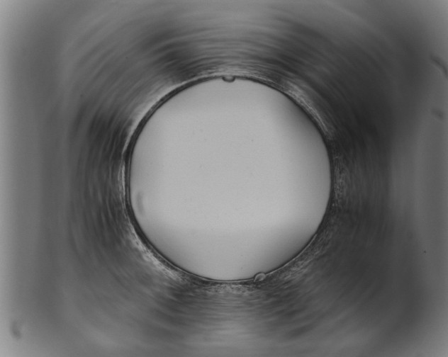 X0000100861092200807111247