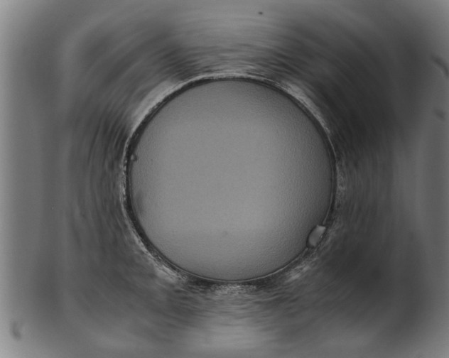 X0000100861093200807111247