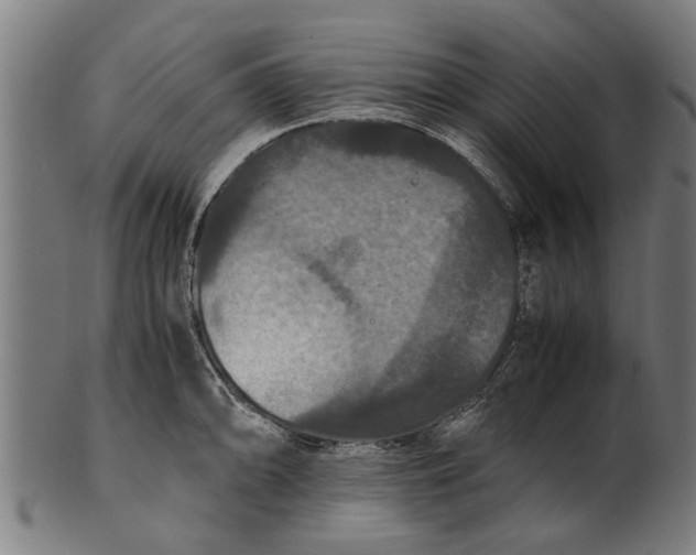 X0000100861094200807111247