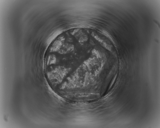 X0000100861095200807111247