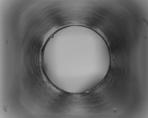 X0000100861096200807111247