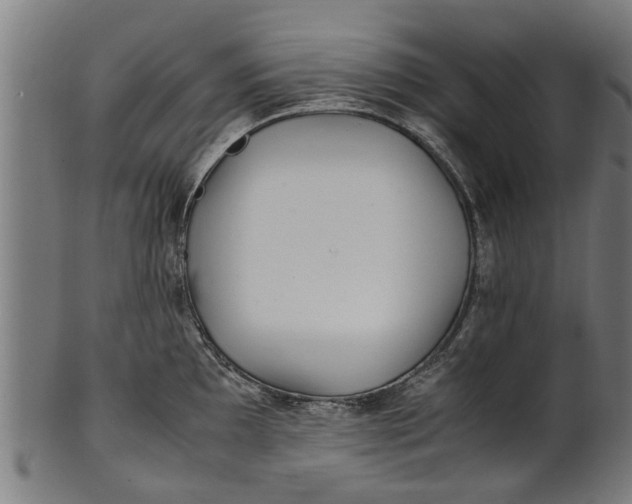 X0000100861097200807111247