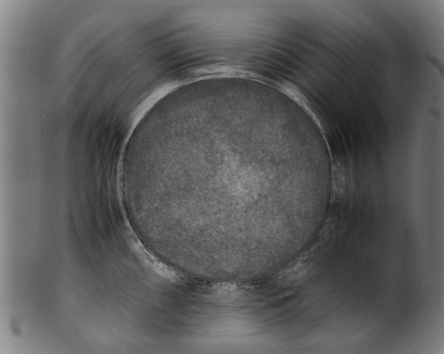 X0000100861098200807111247