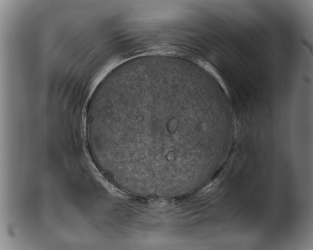 X0000100861099200807111247