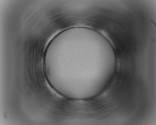 X0000100861100200807111247