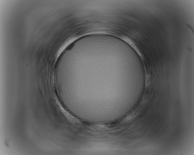 X0000100861101200807111247