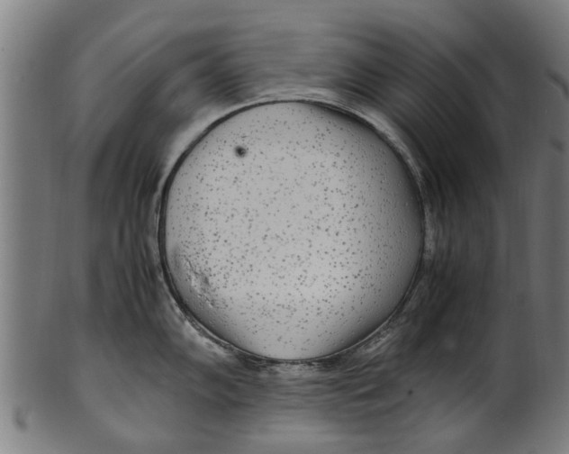 X0000100861102200807111247