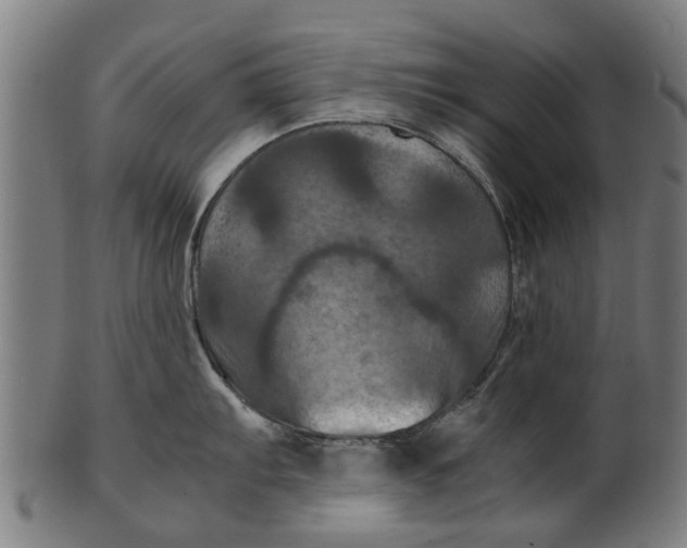 X0000100861103200807111247