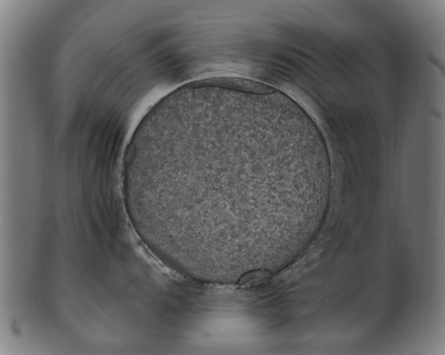 X0000100861104200807111247