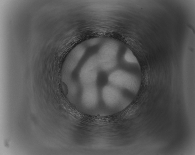 X0000100861105200807111246