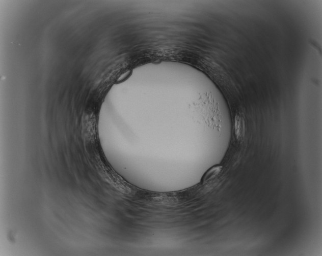 X0000100861107200807111246