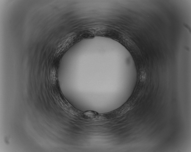 X0000100861108200807111246