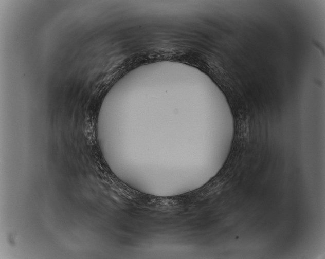 X0000100861109200807111246