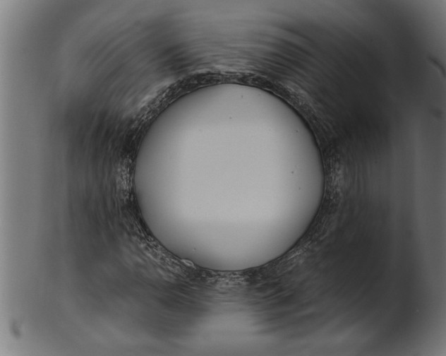 X0000100861110200807111246