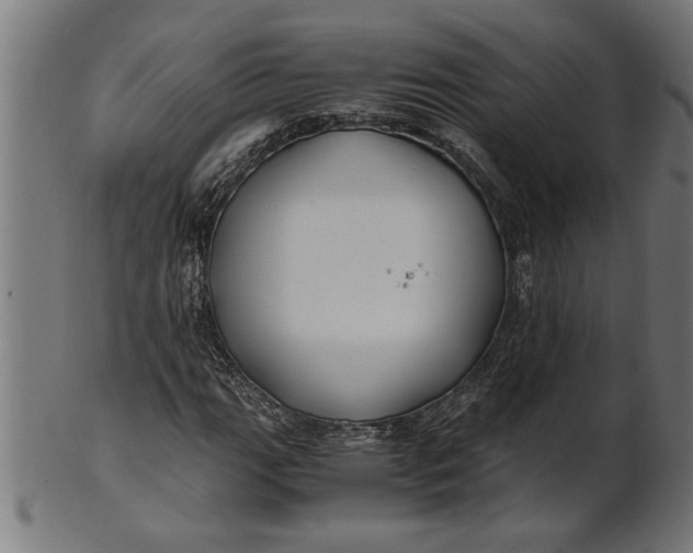 X0000100861111200807111246