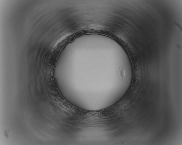 X0000100861112200807111246