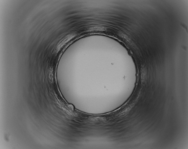 X0000100861113200807111246