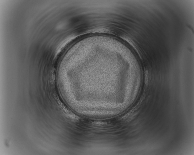 X0000100861115200807111246