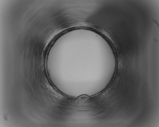 X0000100861116200807111246