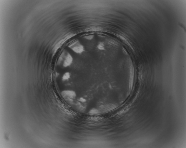 X0000100861117200807111246