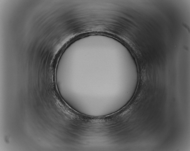 X0000100861118200807111246