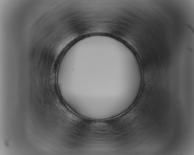 X0000100861119200807111246