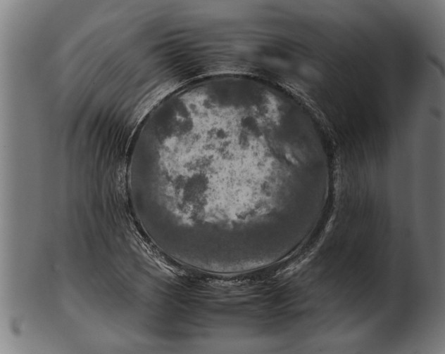 X0000100861121200807111246