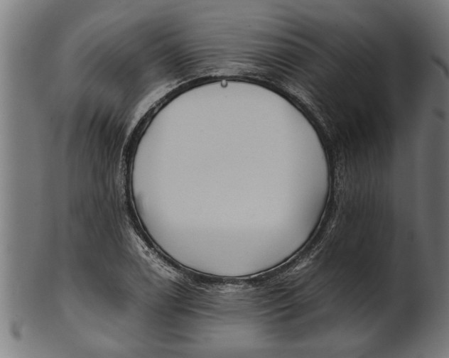 X0000100861122200807111246