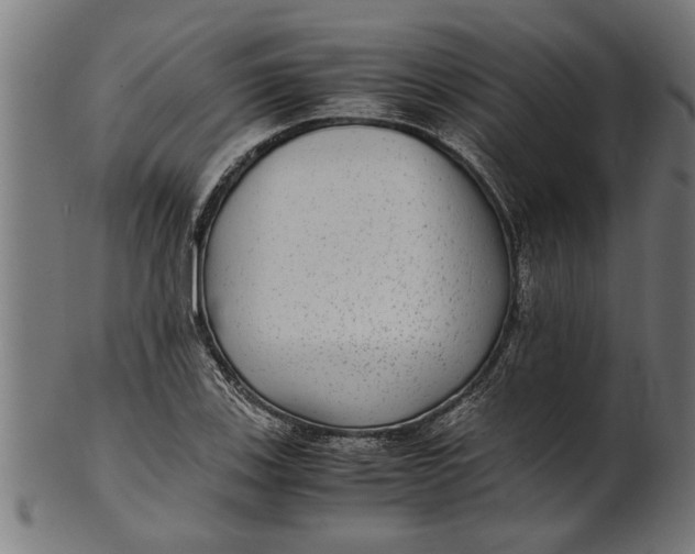 X0000100861123200807111246