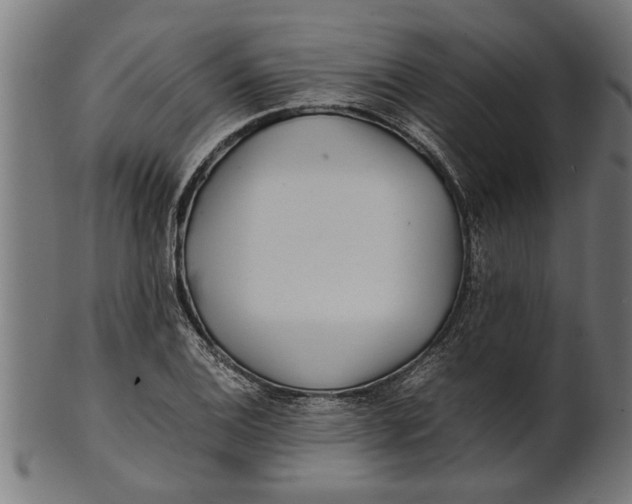 X0000100861124200807111246