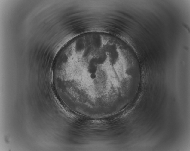 X0000100861125200807111246