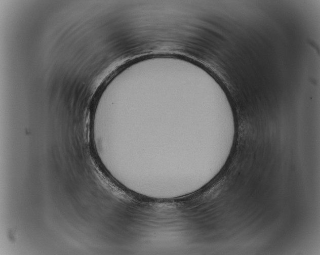 X0000100861126200807111246