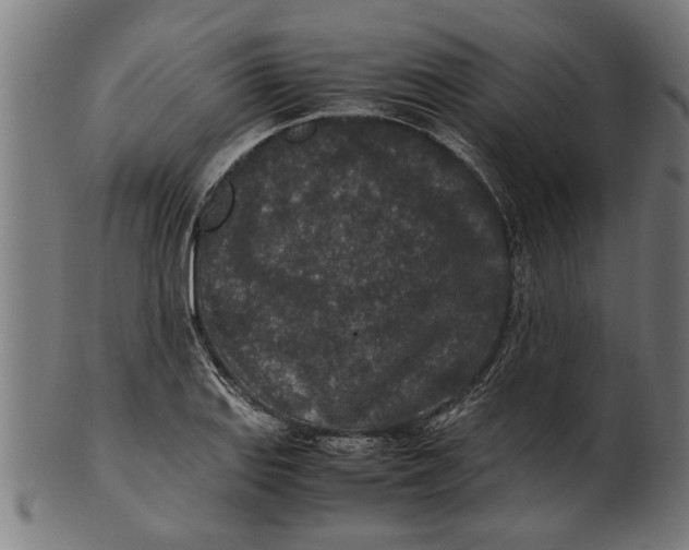 X0000100861127200807111246