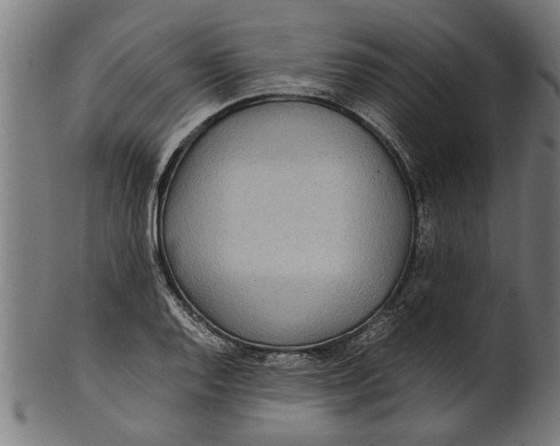 X0000100861128200807111246