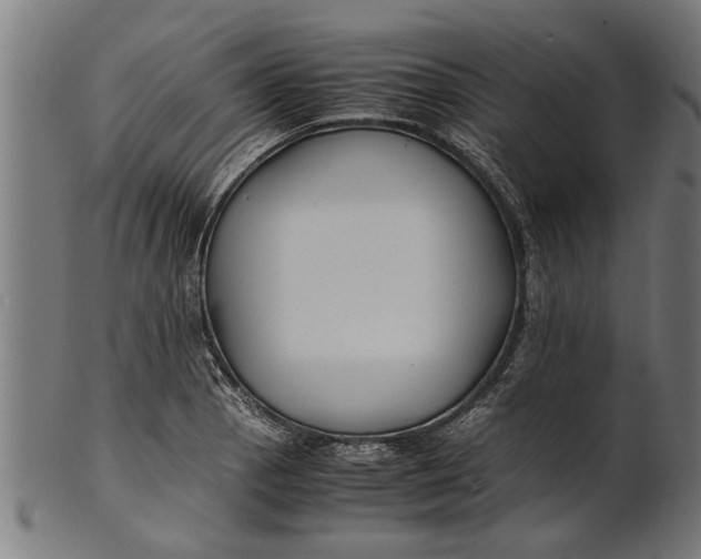 X0000100861129200807111246