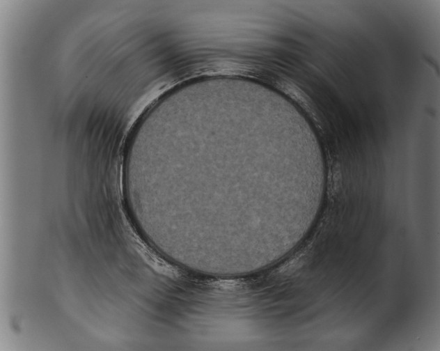 X0000100861130200807111246