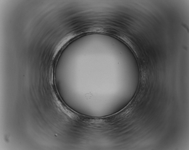 X0000100861131200807111246