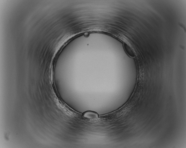 X0000100861132200807111246