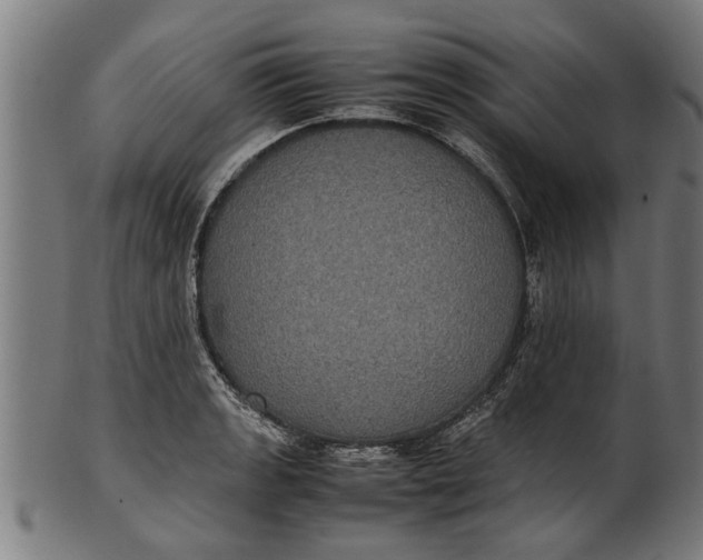 X0000100861133200807111246