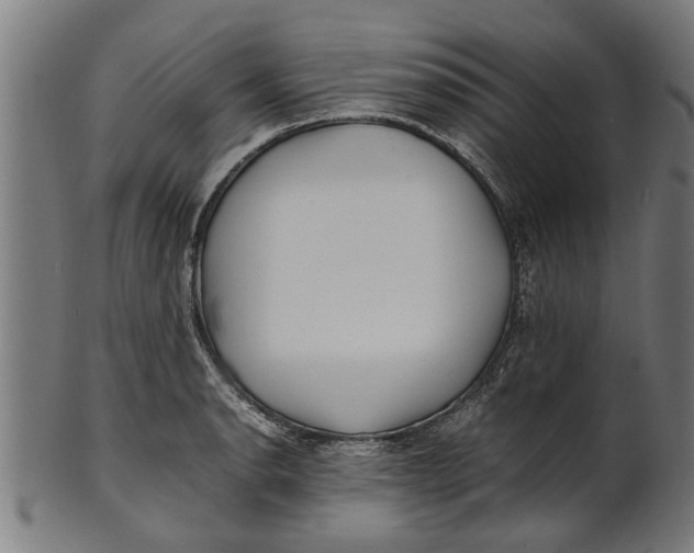 X0000100861134200807111246