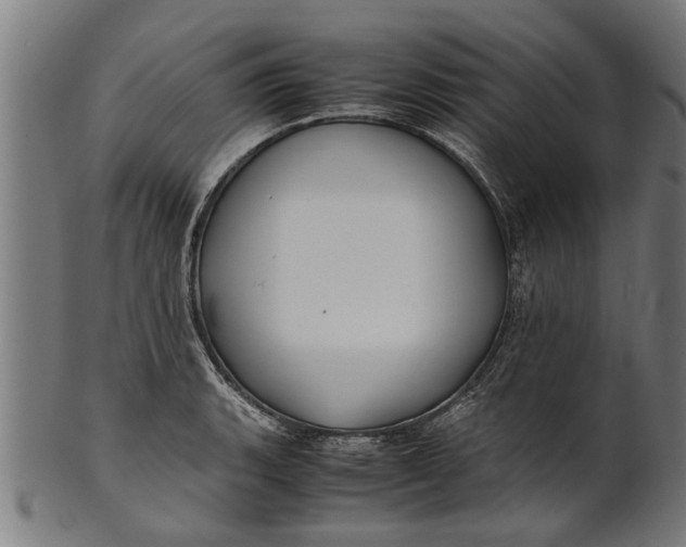 X0000100861135200807111246