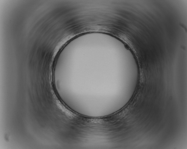 X0000100861136200807111246