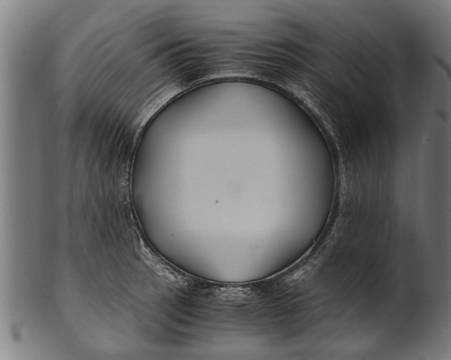 X0000100861137200807111246