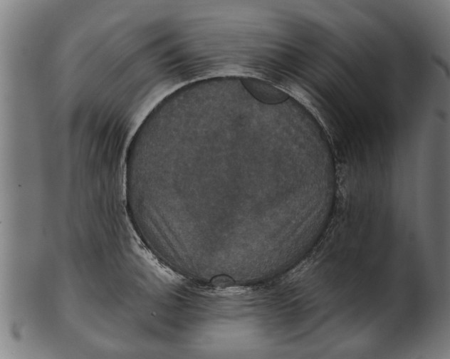 X0000100861140200807111246