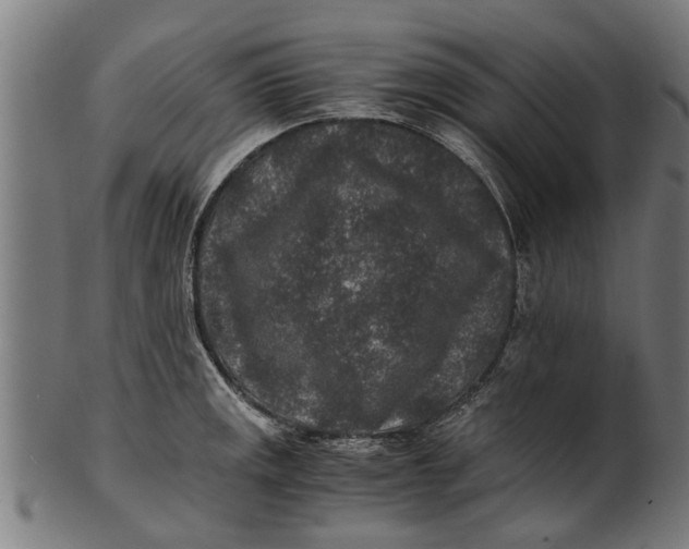 X0000100861141200807111247