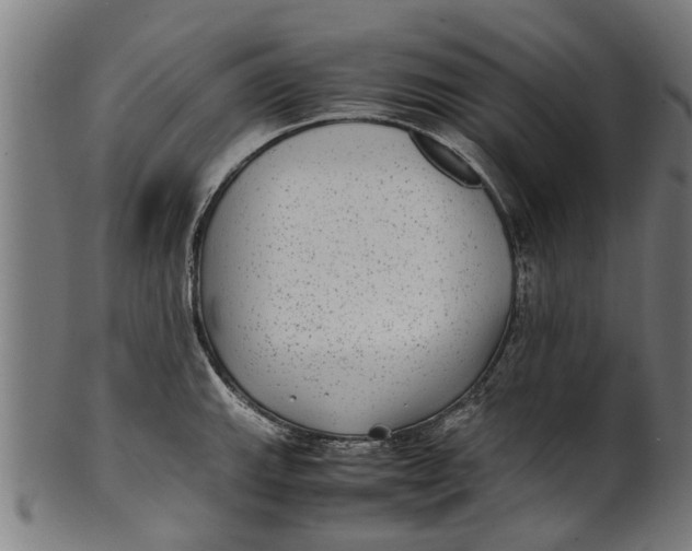 X0000100861143200807111247