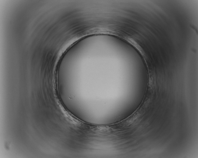 X0000100861144200807111247