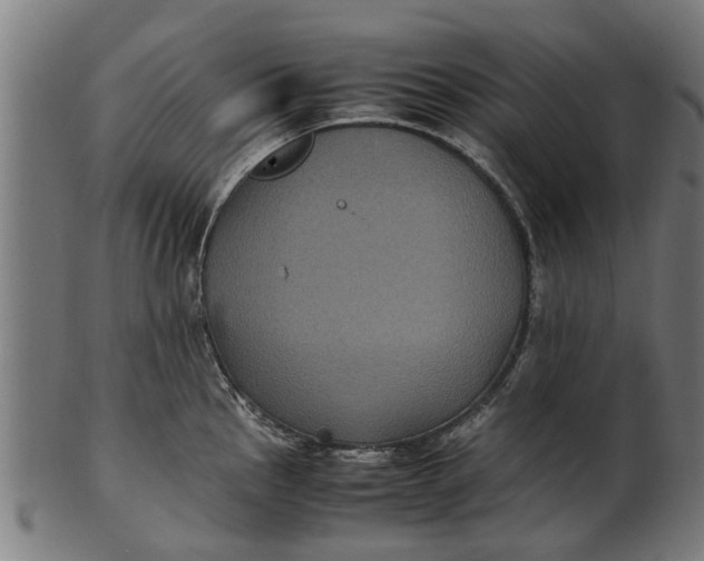 X0000100861145200807111247