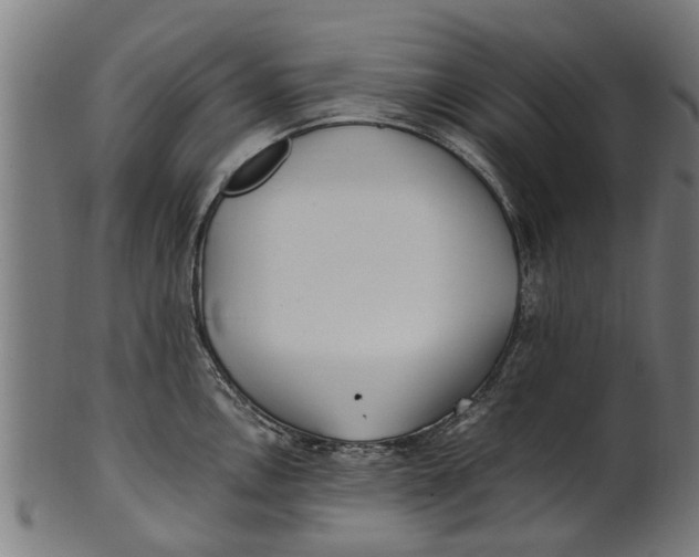 X0000100861146200807111247