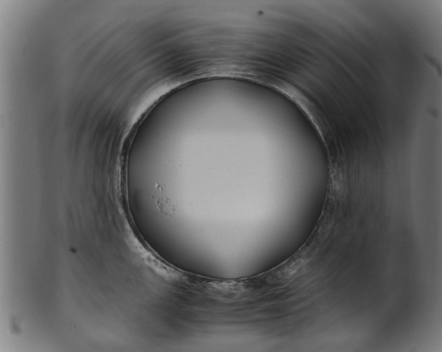 X0000100861147200807111247